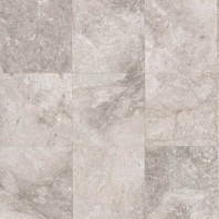 Limestone Siberian Tundra 12x12 Polished L701